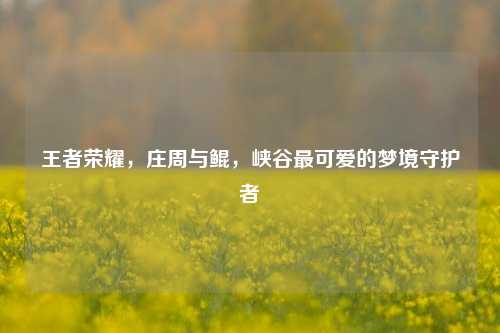 王者荣耀，庄周与鲲，峡谷最可爱的梦境守护者