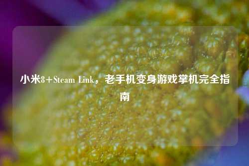 小米8+Steam Link,老手机变身游戏掌机完全指南