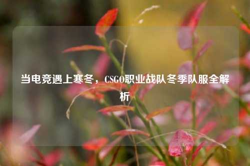当电竞遇上寒冬，CSGO职业战队冬季队服全解析