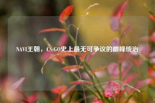 NAVI王朝，CS:GO史上最无可争议的巅峰统治