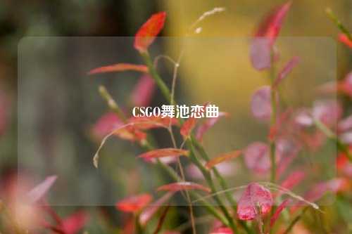CSGO舞池恋曲
