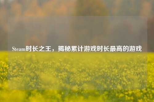 Steam时长之王，揭秘累计游戏时长最高的游戏