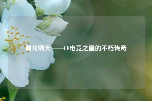 黑龙啸天——CF电竞之皇的不朽传奇