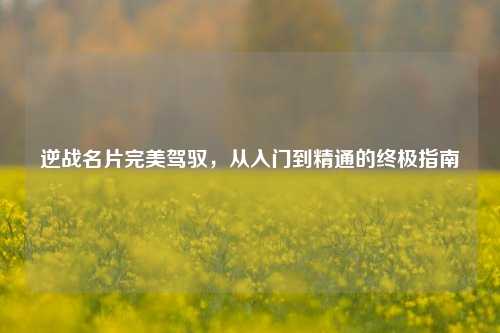 逆战名片完美驾驭，从入门到精通的终极指南