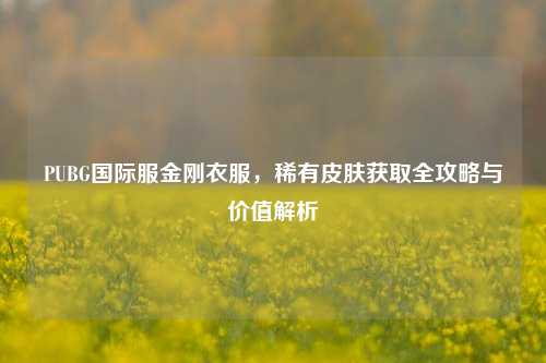 PUBG国际服金刚衣服,稀有皮肤获取全攻略与价值解析