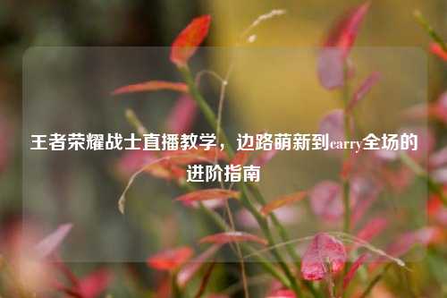 王者荣耀战士直播教学，边路萌新到carry全场的进阶指南