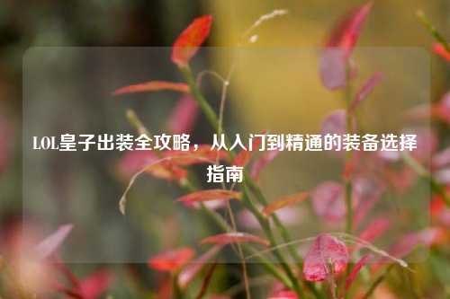 LOL皇子出装全攻略,从入门到精通的装备选择指南
