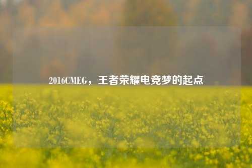 2016CMEG，王者荣耀电竞梦的起点