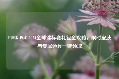 PUBG PGC 2024全球锦标赛礼包全攻略，限时皮肤与专属道具一键领取