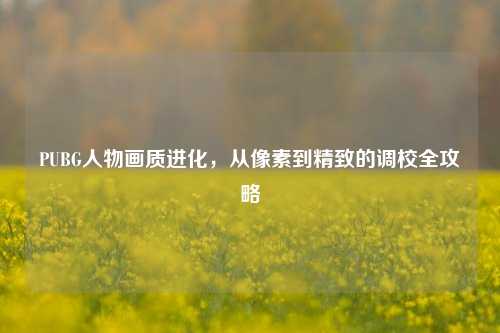 PUBG人物画质进化，从像素到精致的调校全攻略