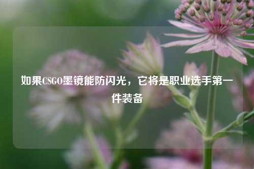 如果CSGO墨镜能防闪光，它将是职业选手第一件装备