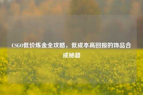 CSGO低价炼金全攻略,低成本高回报的饰品合成秘籍