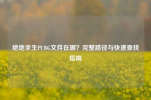 绝地求生PUBG文件在哪?完整路径与快速查找指南