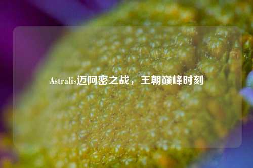 Astralis迈阿密之战，王朝巅峰时刻