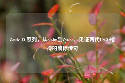 Zowie EC系列,从olofm到Zywoo,见证两代CSGO枪神的鼠标传奇