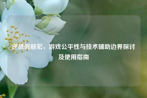 逆战假肢宏,游戏公平性与技术辅助边界探讨及使用指南