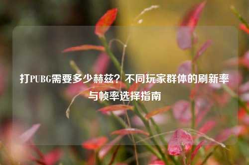 打PUBG需要多少赫兹?不同玩家群体的刷新率与帧率选择指南