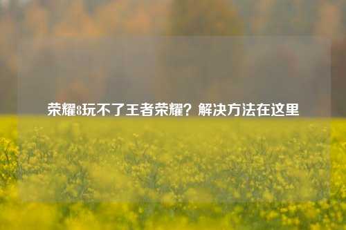 荣耀8玩不了王者荣耀？解决方法在这里