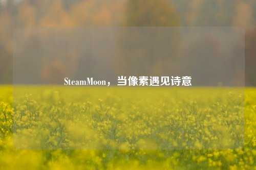 SteamMoon,当像素遇见诗意