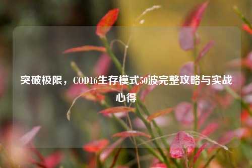 突破极限,COD16生存模式50波完整攻略与实战心得