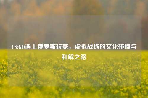 CS:GO遇上俄罗斯玩家，虚拟战场的文化碰撞与和解之路