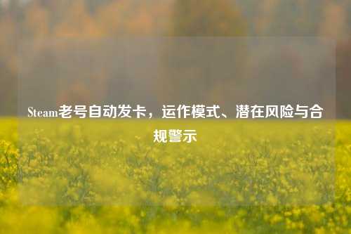 Steam老号自动发卡，运作模式、潜在风险与合规警示