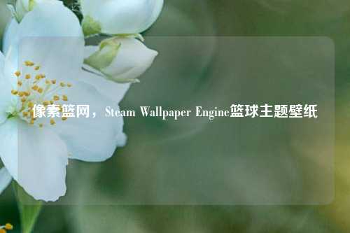 像素篮网,Steam Wallpaper Engine篮球主题壁纸