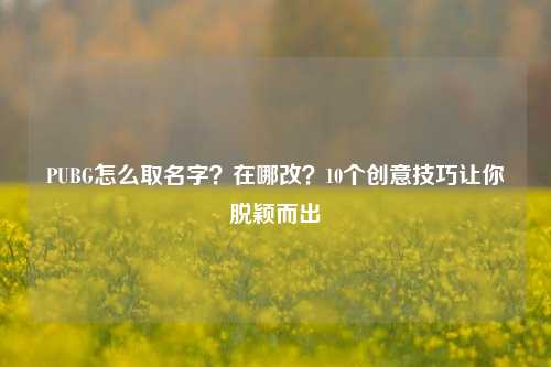 PUBG怎么取名字?在哪改?10个创意技巧让你脱颖而出