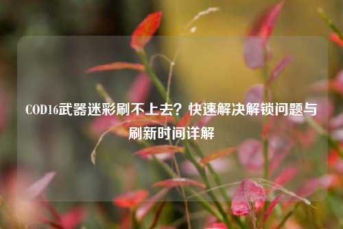 COD16武器迷彩刷不上去?快速解决解锁问题与刷新时间详解