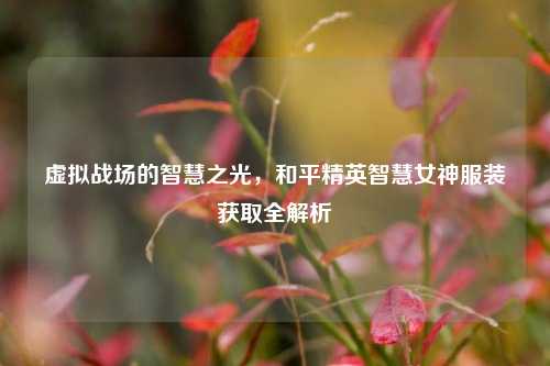虚拟战场的智慧之光,和平精英智慧女神服装获取全解析