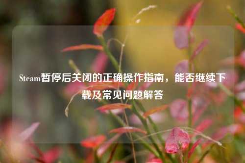 Steam暂停后关闭的正确操作指南,能否继续下载及常见问题解答