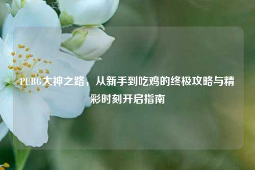 PUBG大神之路，从新手到吃鸡的终极攻略与精彩时刻开启指南