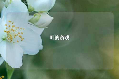 叶的游戏