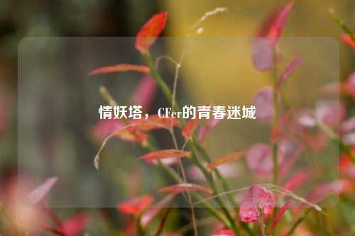 情妖塔，CFer的青春迷城