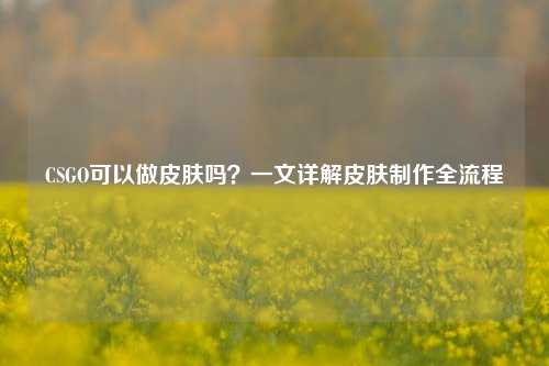 CSGO可以做皮肤吗？一文详解皮肤制作全流程