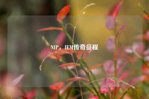 NIP,IEM传奇征程