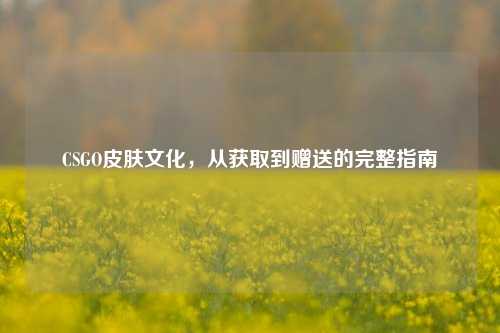 CSGO皮肤文化，从获取到赠送的完整指南