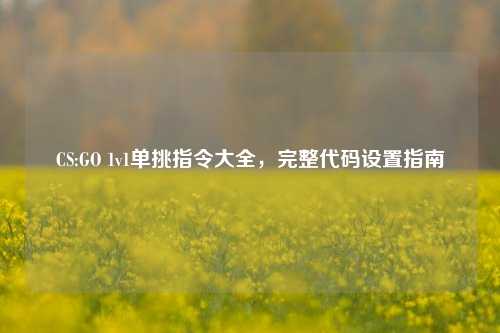 CS:GO 1v1单挑指令大全，完整代码设置指南