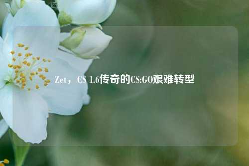 Zet,CS 1.6传奇的CS:GO艰难转型