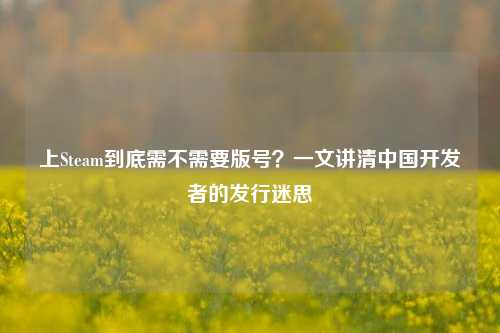 上Steam到底需不需要版号?一文讲清中国开发者的发行迷思
