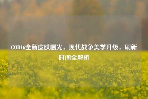 COD16全新皮肤曝光，现代战争美学升级，刷新时间全解析
