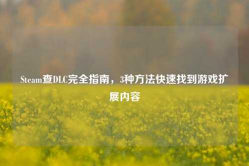 Steam查DLC完全指南，3种方法快速找到游戏扩展内容