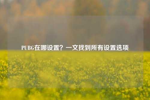 PUBG在哪设置?一文找到所有设置选项