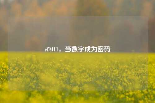 cf9411，当数字成为密码