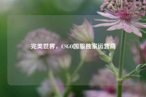 完美世界，CSGO国服独家运营商