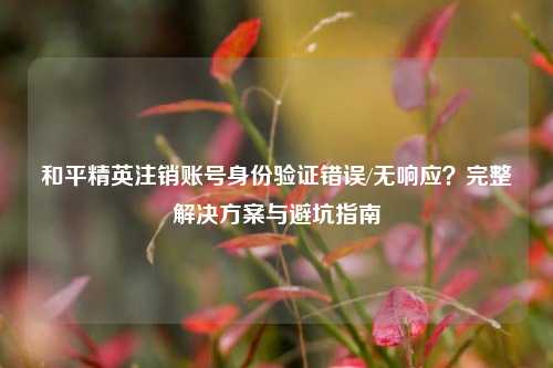 和平精英注销账号身份验证错误/无响应？完整解决方案与避坑指南