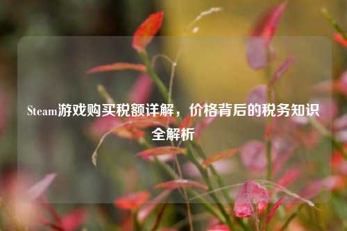 Steam游戏购买税额详解,价格背后的税务知识全解析