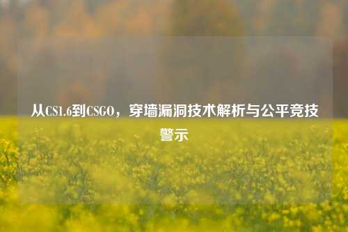 从CS1.6到CSGO,穿墙漏洞技术解析与公平竞技警示