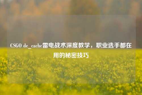 CSGO de_cache雷电战术深度教学,职业选手都在用的秘密技巧