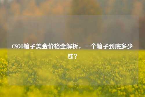 CSGO箱子美金价格全解析,一个箱子到底多少钱?